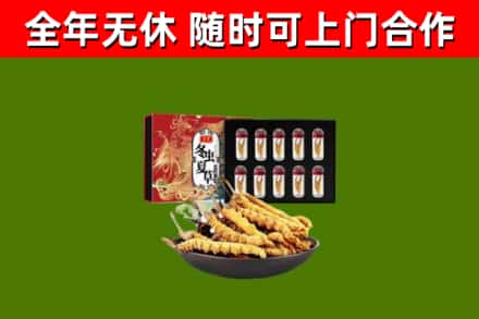 沁水回收冬虫夏草价格