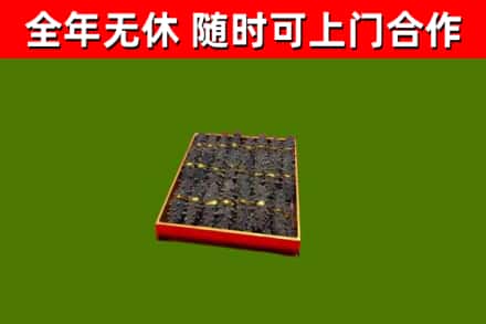 沁水回收海参